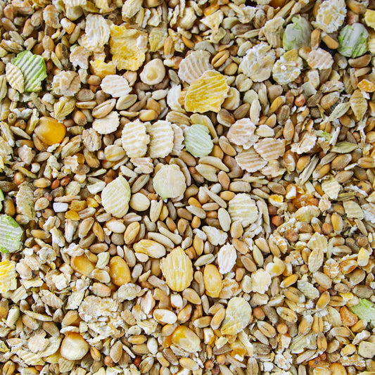 Gardeners Dream Duck & Goose Feed Mix