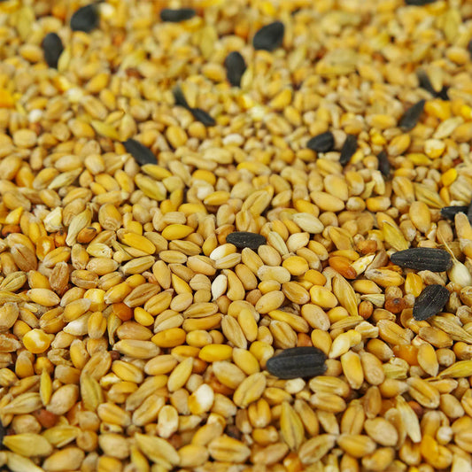 Gardeners Dream Simply Nutritious Garden Blend Mix