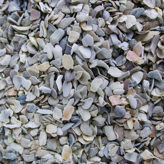 Gardeners Dream Hen Sized Oyster Shell