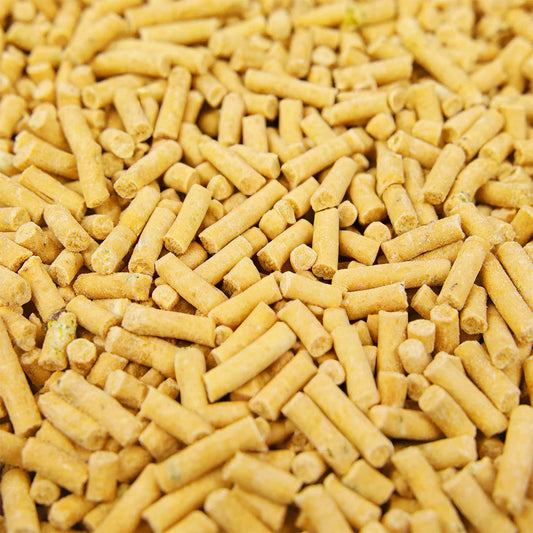 Gardeners Dream Insect Suet Pellets