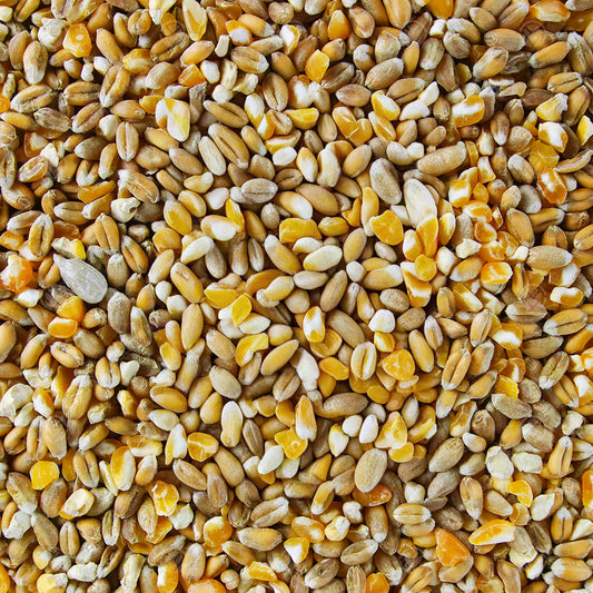 Gardeners Dream Mixed Poultry Corn