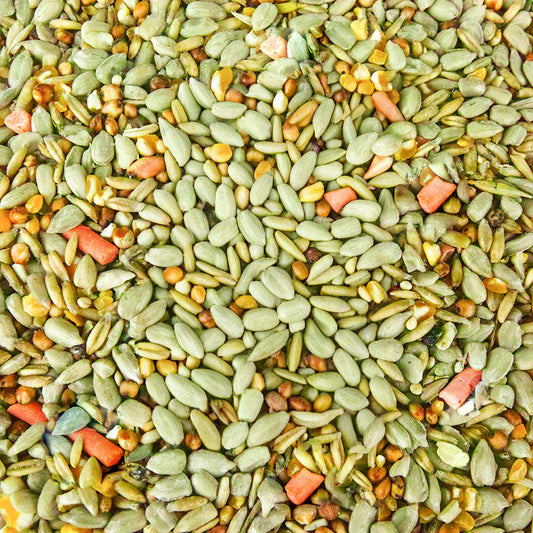 Gardeners Dream Premium Wild Bird Food