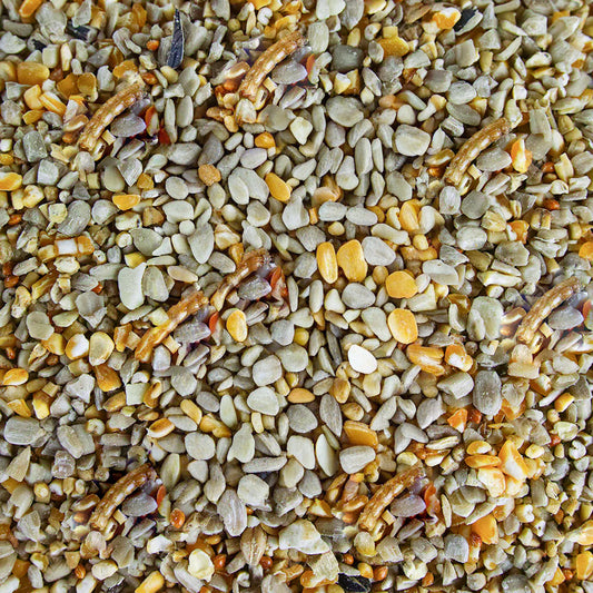 Gardeners Dream Robin & Songbird