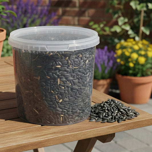 Gardeners Dream Black Oil Sunflower Seeds (Tubs)