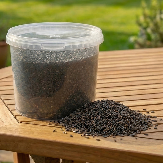 Gardeners Dream Niger Seeds (Tubs)