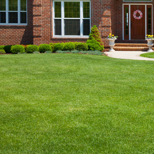 Gardeners Dream General Purpose Grass Seed