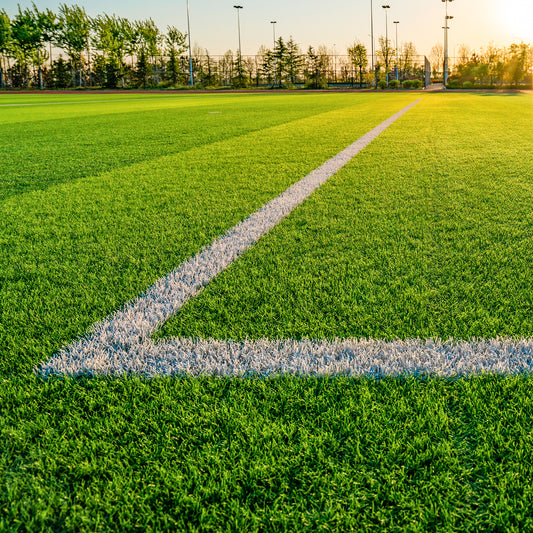 Sports Lawn Grass Seed Mix