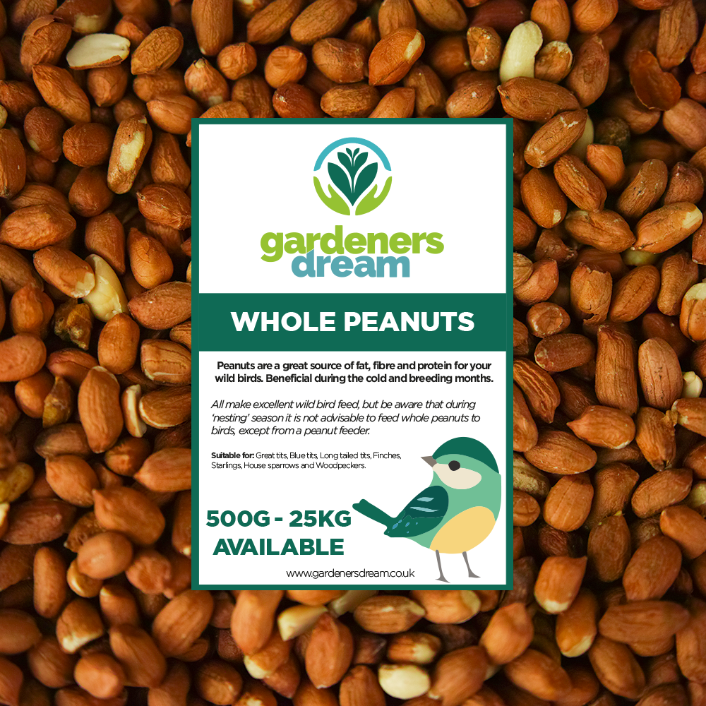 Hoogwaardig Wildvogelvoer GardenersDream Niger Zaden - , 500 Gram | Energierijk Voor Vinken, Sijzen En Kleine Tuinvogels Nigerzaad Waar Te Koop Hoogwaardig Wildvogelvoer GardenersDream Niger Zaden - , 500 Gram | Energierijk Voor Vinken, Sijzen En Kleine Tuinvogels Nigerzaad Waar Te Koop