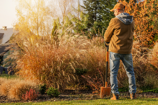 A man in a brown jacket, jeans and a cap stands holding a spade in front of a garden border. The warm sunlight highlights the ornamental grasses planted in the border.iage,