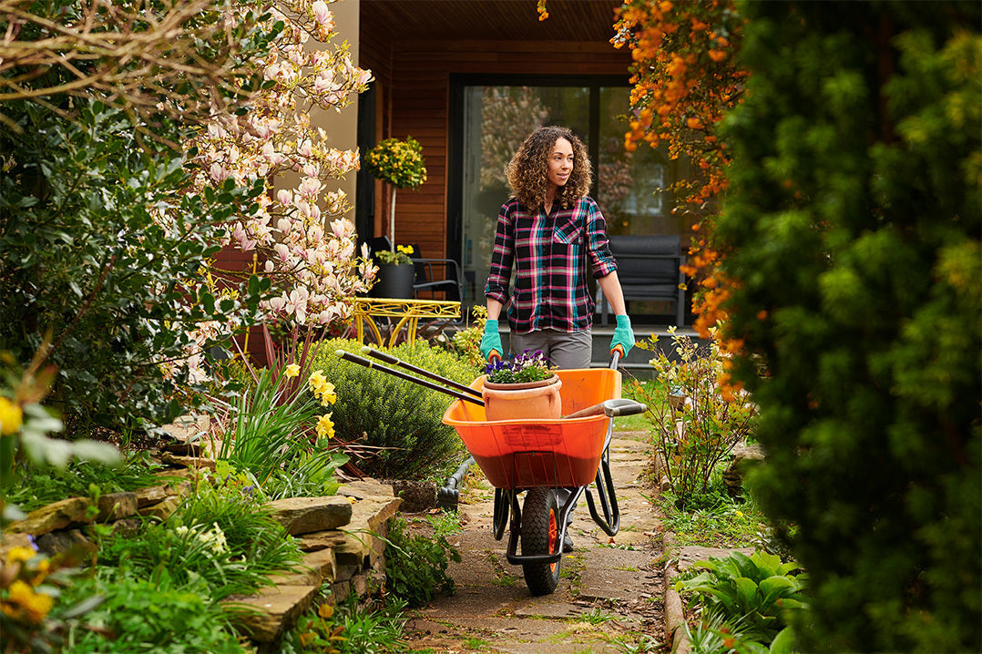 A woman with shoulder-length brown, curly hair, wearing a tartan shirt and aqua gardening gloves pushes an orange wheelbarrow containing a pot of flowers on a paved path through a garden, ready to get on with April gardening jobs.