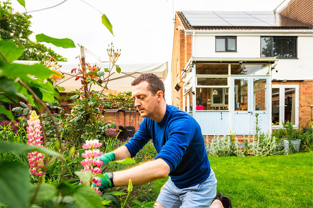 An adult man in his 30s kneels on the lawn pruning plants in his garden. He is dressed casually in a navy blue sweater and light blue shorts. In the background is a semi-detached house.