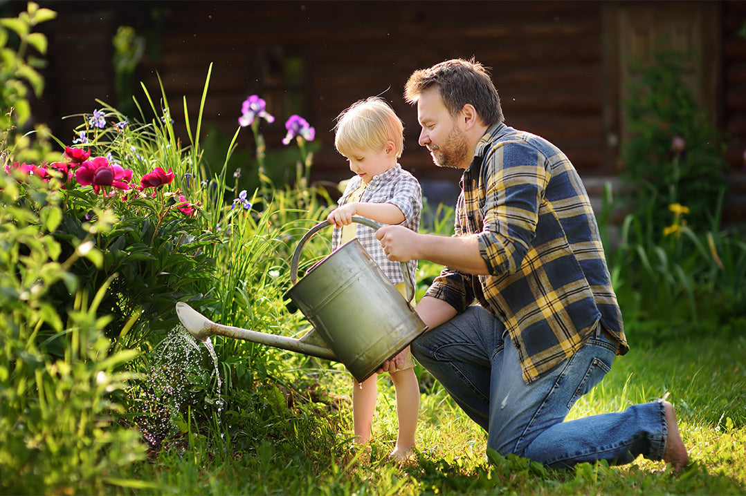 A middle-aged man and young boy use a silver watering can to water flowers in the garden in the evening sunshine.
