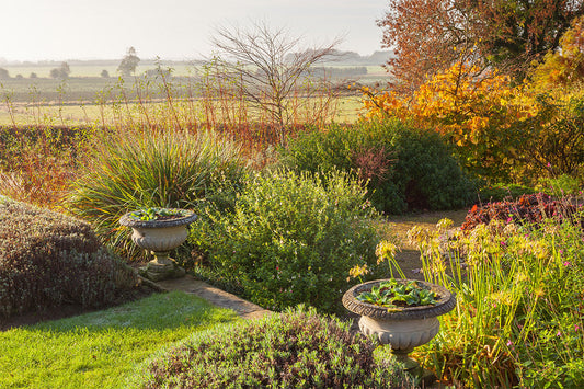 Brightwater Gardens in Saxby, Lincolnshire, in November. The garden features cropped lavender hedges, two stone bowl sculptures, evergreen shrubs, ornamental grasses and dogwood.