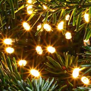 LED Christmas Tree Lights