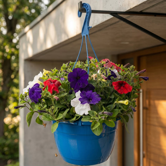 British Red, White and Blue Hanging Basket Plants
