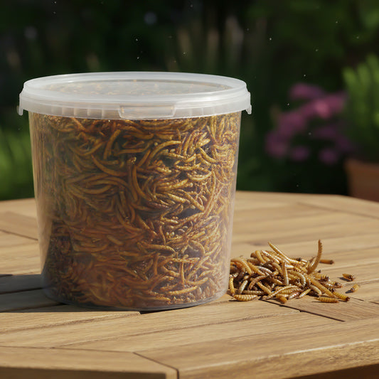 Gardeners Dream Dried Mealworms (Tubs)