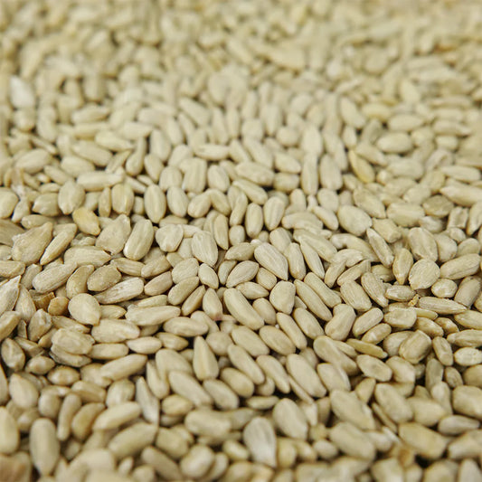 Gardeners Dream Sunflower Hearts