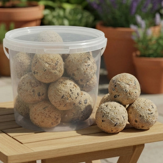 Gardeners Dream Suet Fat Balls (Tubs)