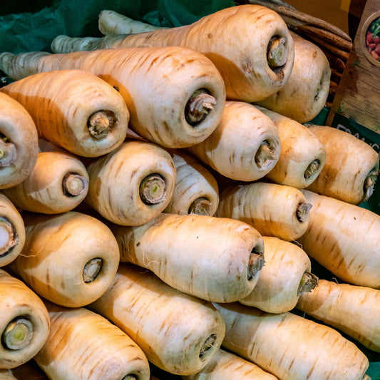 Parsnip 'Palace' F1