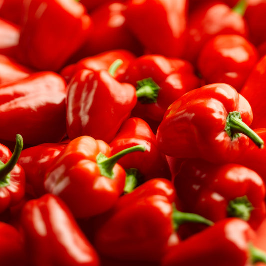 Pepper Sweet 'Beauty Bell' F1