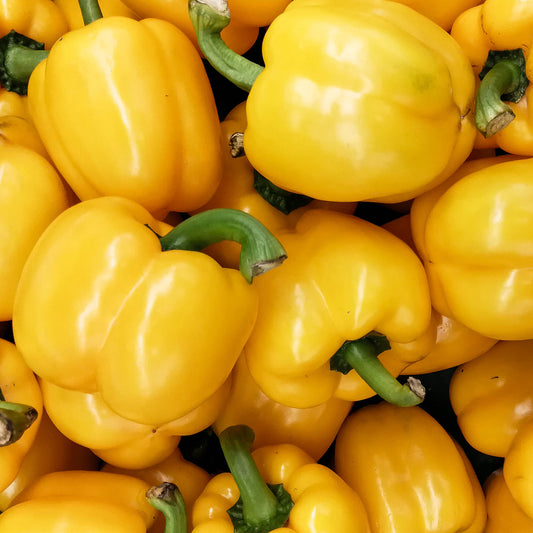 Pepper Sweet 'Fiesta' F1