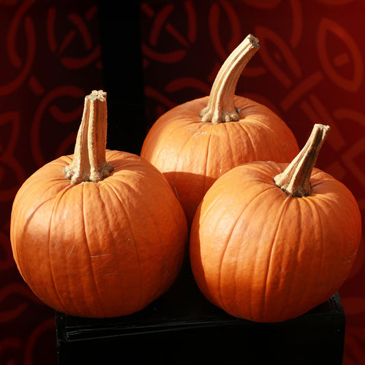 Pumpkin 'Gold Medal' F1