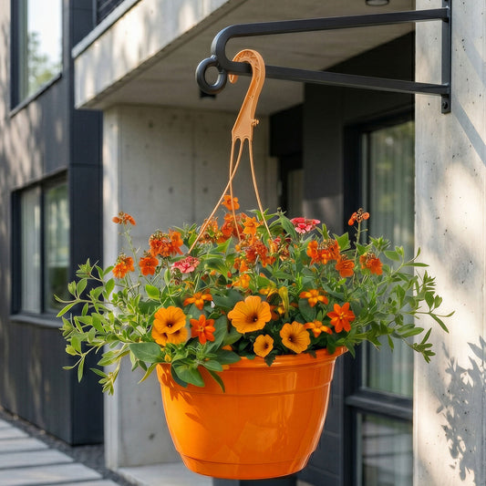 Orange Shades Hanging Basket Plants