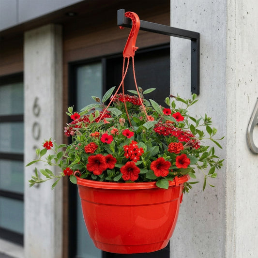 Red Shades Hanging Basket Plants