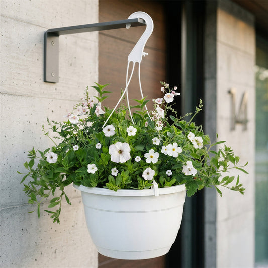 White Shades Hanging Basket Plants