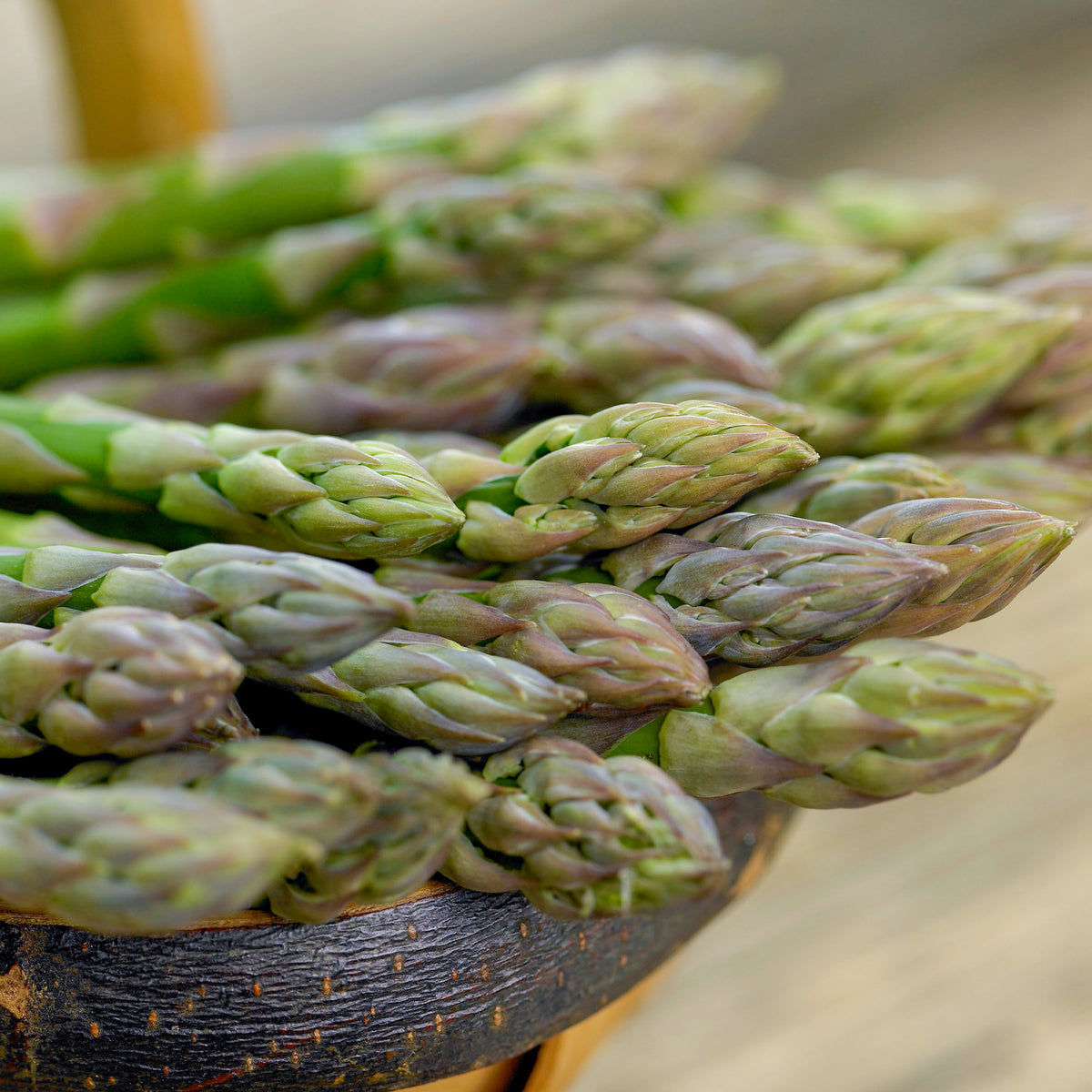 Asparagus Millennium