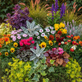 Autumn Mixed Basket Plants