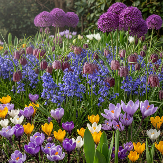 Pollinator’s Delight Mix