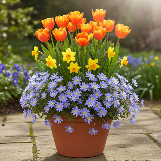 Spring Brights Patio Pot Mix