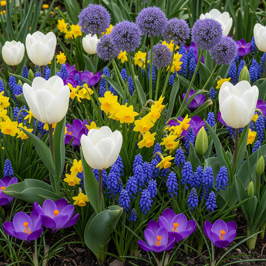 Spring Garden Celebration Mix