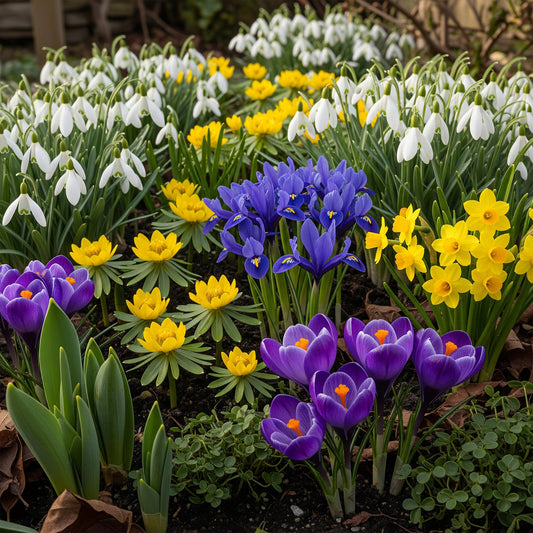 Winter Woodland Jewels Mix
