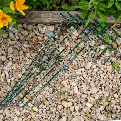 Grow It Plant Links | Plant Support – Gardeners Dream