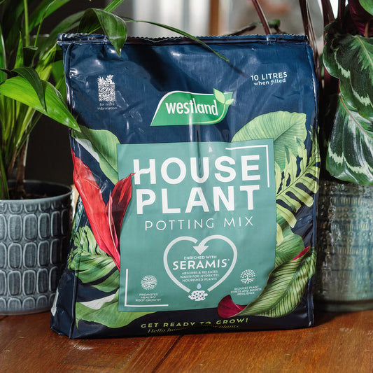 Westland Houseplant Potting Mix
