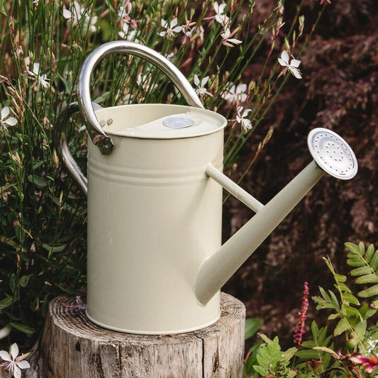 Vintage Cream Watering Can