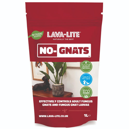 Lava-Lite No-Gnats