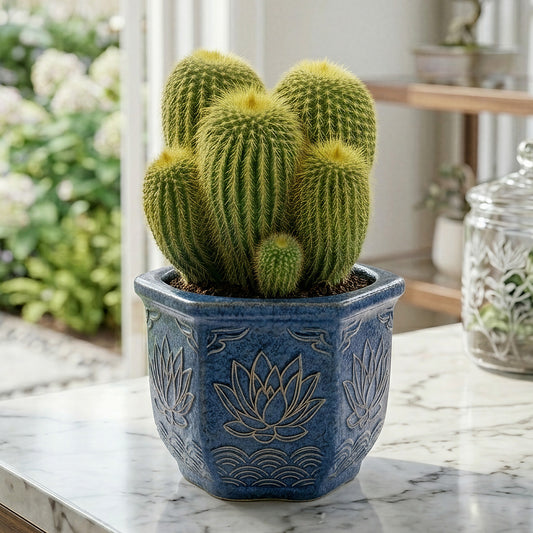 Parodia leninghausii