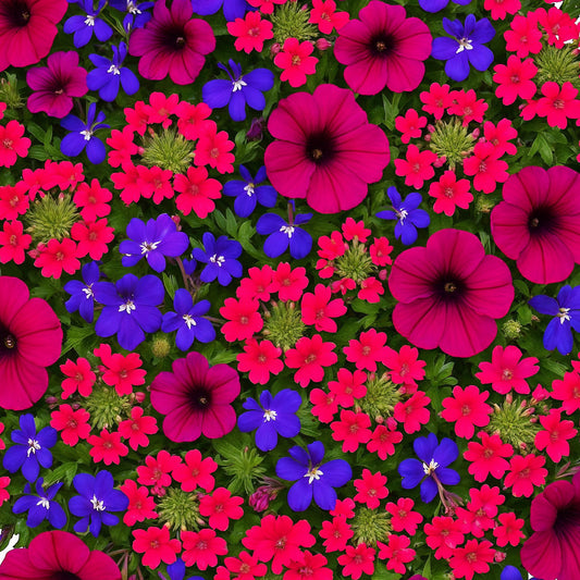 Trio Fashionista Basket Plants