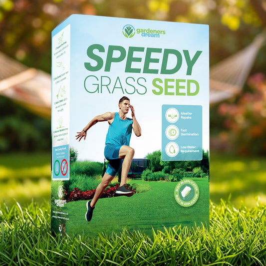 Speedy Grass Seed