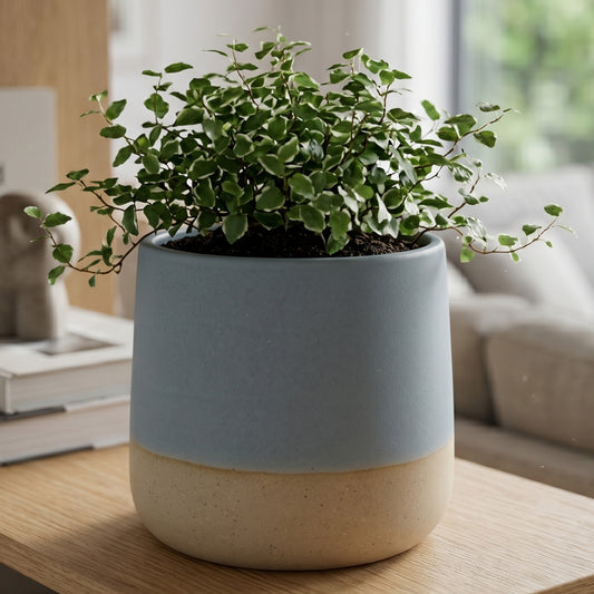 Cornflower Blue Berkeley Satin Glaze Planter