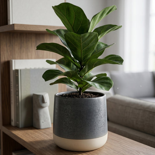 Denim Berkeley Satin Glaze Planter
