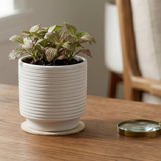 Cream Berlin Ripple Planter