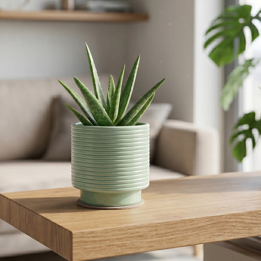 Green Berlin Ripple Planter