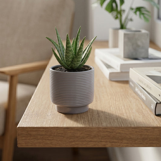 Grey Berlin Ripple Planter
