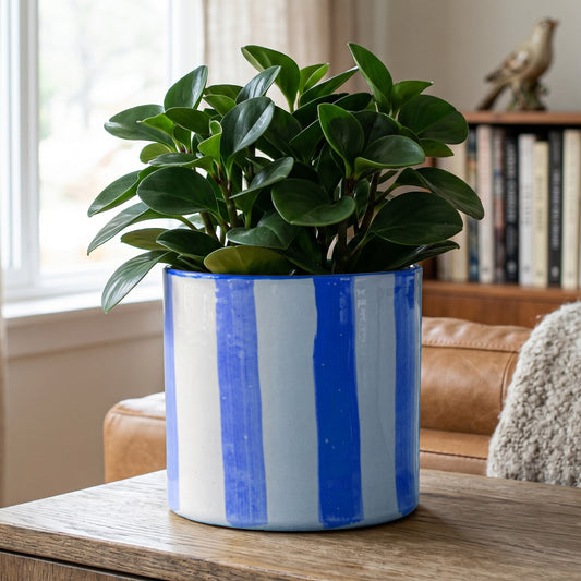 Blue Paros Painted Stripe Planter