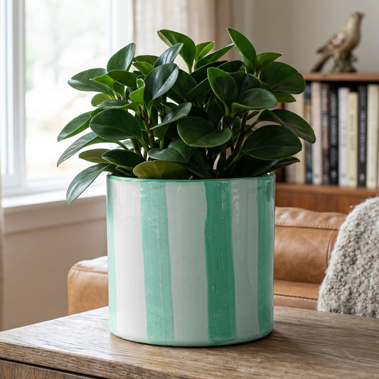 Green Paros Painted Stripe Planter