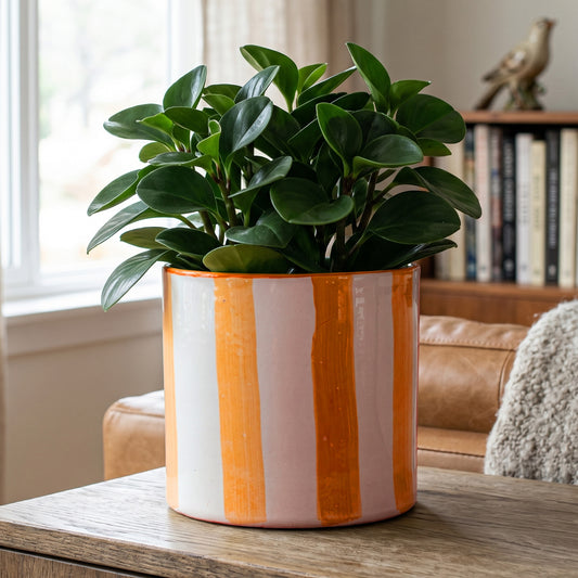 Orange Paros Painted Stripe Planter